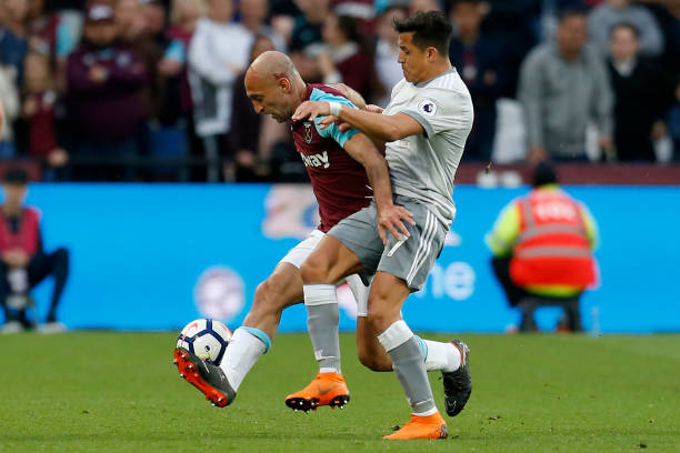 各种细菌和 各种细菌和