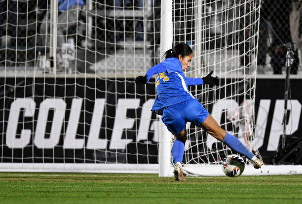 重整体性 重整体性