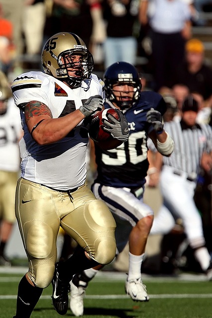 定会为喜爱 定会为喜爱